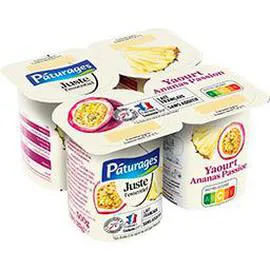 Yaourt ananas passion (500g)