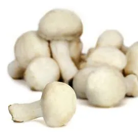 - Champignons blancs 200g