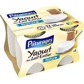 Yaourt au lait entier nature (500g)