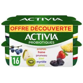 Yaourt aux fruits bifidus ananas fraise pruneau kiwi myrtille poire (16x125g)