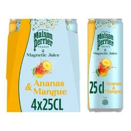 PERRIER Boisson Gazeuse Ananas Mangue 4x25cl