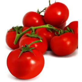 - Tomates rondes en grappe Bio 500g