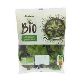Mélange de jeunes pousses (100g)