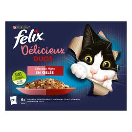 Pâtée pour chat adulte duo en gelée (24x85g)