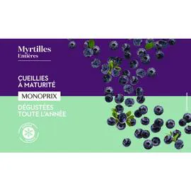 Myrtilles entières surgelées (450g)