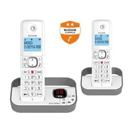 Téléphone fixe sans fil avec répondeur Duo F860 Voice - Gris (l'unité)