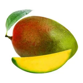 Mangue Kent Bio (l'unité)