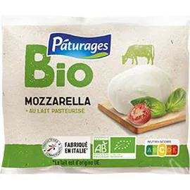 Mozzarella BIO (125g)
