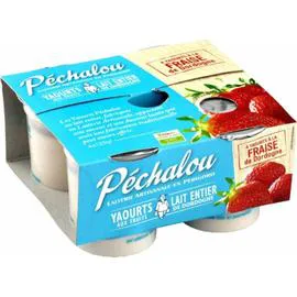 Yaourt fraise de Dordogne (4x125g)