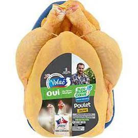 Poulet bleu blanc coeur jaune (1,3kg)