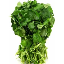 Salade Cresson (l'unité)