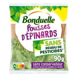 BONDUELLE Salade pousses d'épinards 90g