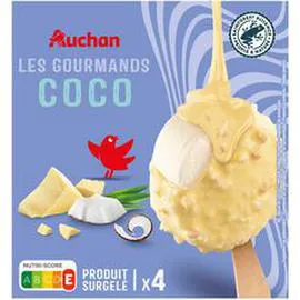Bâtonnets glacé façon rocher à la noix de coco (202g)