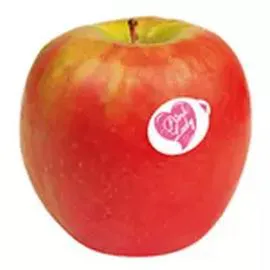 Pomme Pink Lady (Cripps Pink) (l'unité)