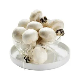 Champignons blanc de Paris agroécologie (400g)