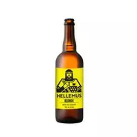 Bière blonde des Flandres 8% (75cl)