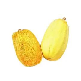 Courge Spaghetti agroécologie (l'unité)