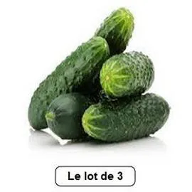 Concombre COURT (x3)