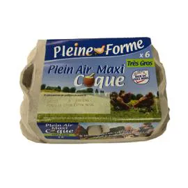 Oeufs Calibre Très Gros (x6)