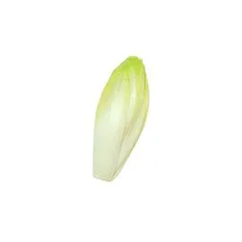 Endive vrac (200g)