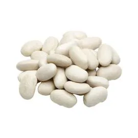 Haricot coco Paimpol (10kg)