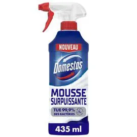 Nettoyant Ménager Fraicheur Arctique (0,435l)