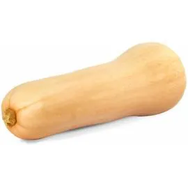 Courge butternut bio (l'unité)