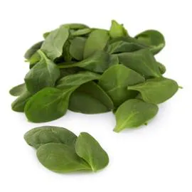 Pousses d'épinard Bio (100g)