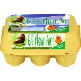 Oeufs de Plein Air (x6)