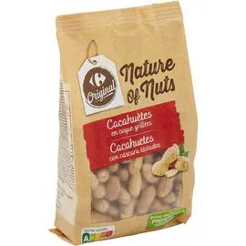 CARREFOUR ORIGINAL Cacahuètes en coque grillées 400g