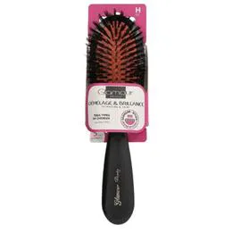 Brosse Cheveux l'excellence (l'unité)
