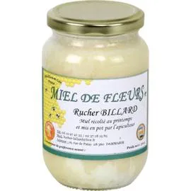 Miel de fleurs (500g)