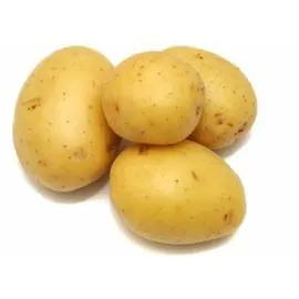 Pomme de Terre Ile de Batz Bio (1,501kg)