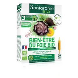 Complément alimentaire bien être du foie Bio (x20)