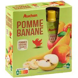 Gourdes pomme banane allégé en sucres sans conservateur (4x90g)