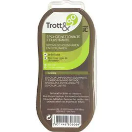 LA BROSSE ET DUPONT, TROTT & GO Eponge Lustrante l'unité