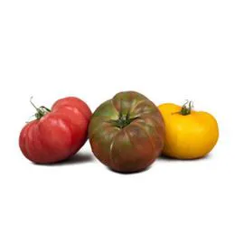 Tomates Mixtes (1kg)