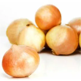 Oignons jaunes (1,2kg)