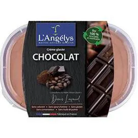 Crème glacée Artisanale Chocolat noir (450g)