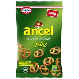 DR. OETKER, ANCEL Biscuits apéritifs Bretzel mini 100g