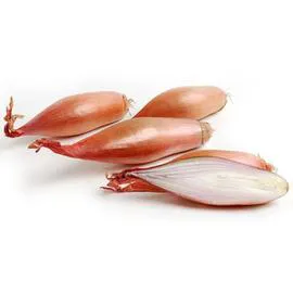 Echalions Suprême (x4)