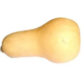 Courge BUTTERNUT (l'unité)