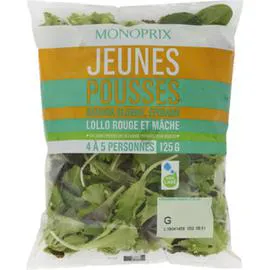 Jeunes pousses Batavia blonde, épinard, lollo rouge & mâche (125g)