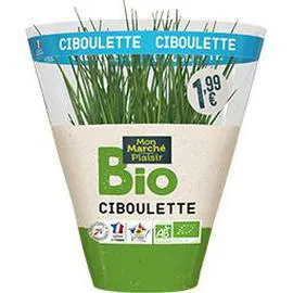 Ciboulette bio (l'unité)