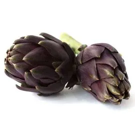 Artichaut Tema 2 pièces (x2)
