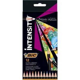 Crayon de couleur Intensity x12 (x12)