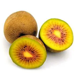 Kiwi rouge (x3)