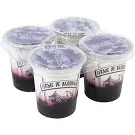 Yaourt bicouche myrtille (4x125g)