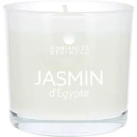 Bougie parfumée Jasmin d'Egypte (l'unité)