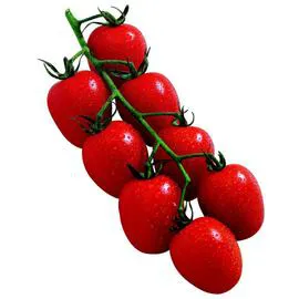 Bouquet Bio Tomates cerise Bio 250g